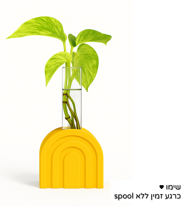 BambuLab תוצרת PLA Basic פילמנט